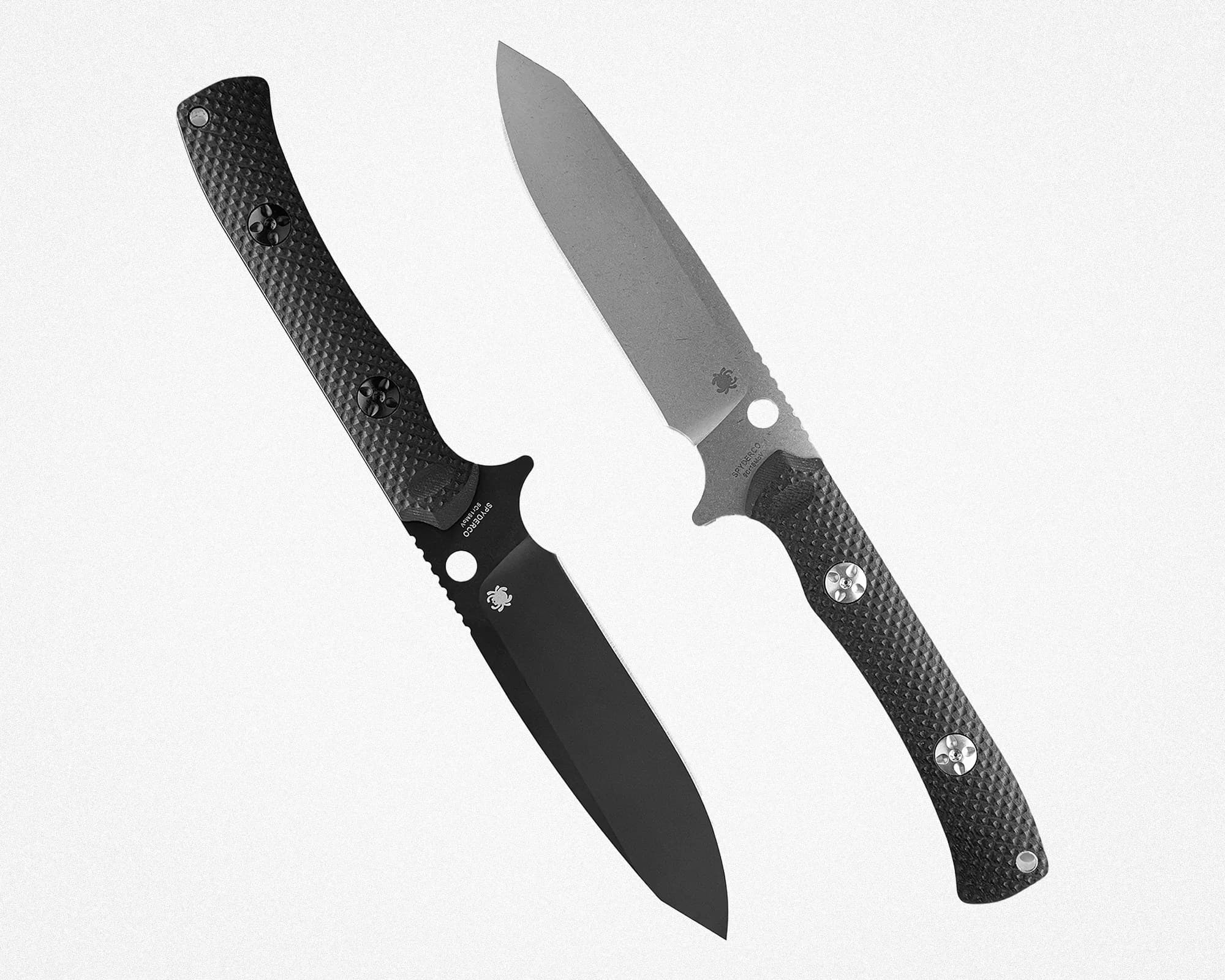 Spyderco Skoli: The Fan-Favorite Folder Reimagined as a Formidable Outdoor Knife