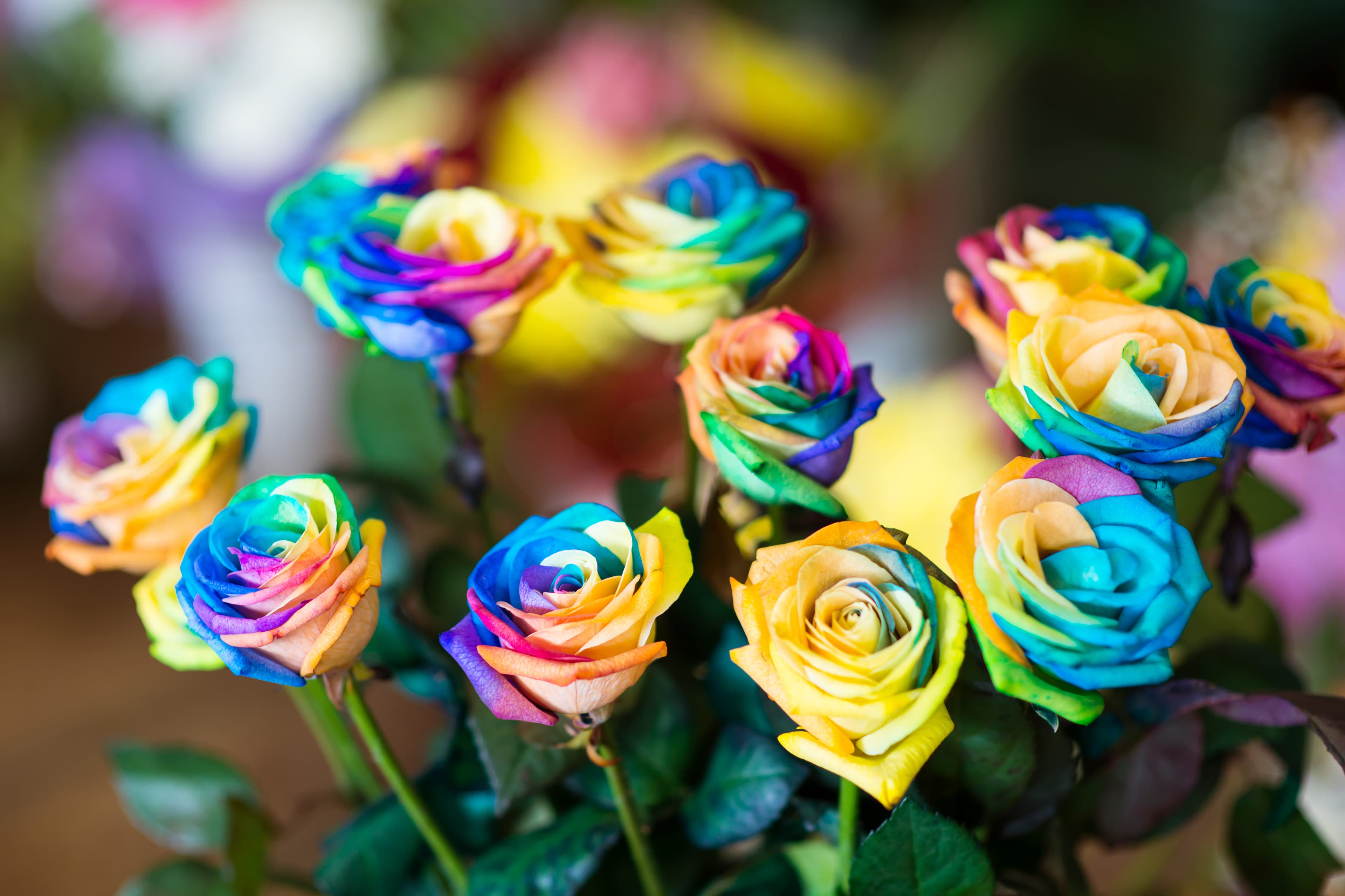 AI Gardening Advice Is Everywhere — But Much of It Is Wrong