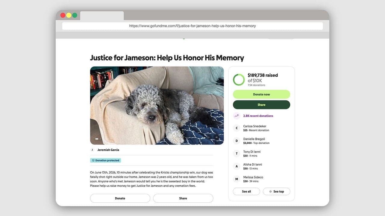 GoFundMe Campaign for Dog Shot by LAPD Nears $190,000 as Viral Video Sparks Outrage