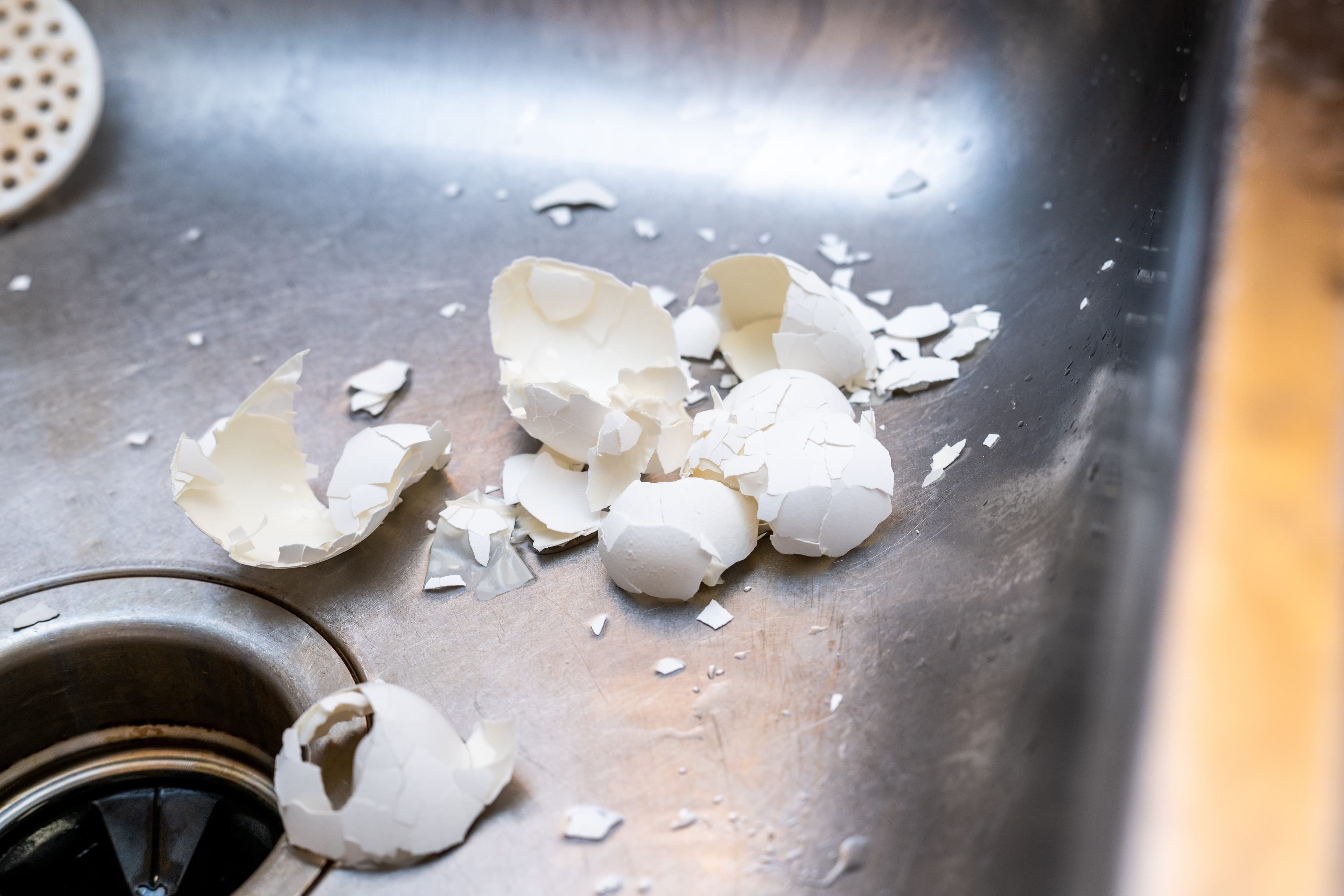 Experts Say These Everyday Kitchen Items Can Damage Your Garbage Disposal