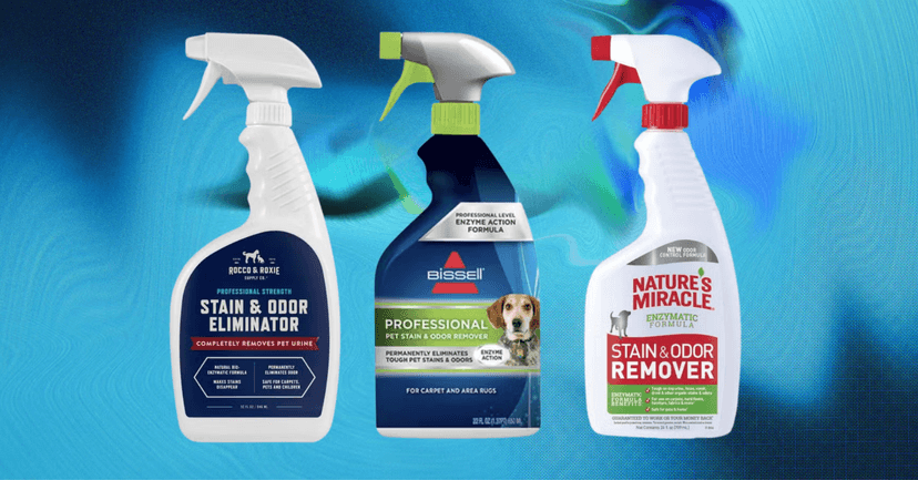 5 Best Enzyme Cleaners for Pet Stains, Tested by Cleaning Experts