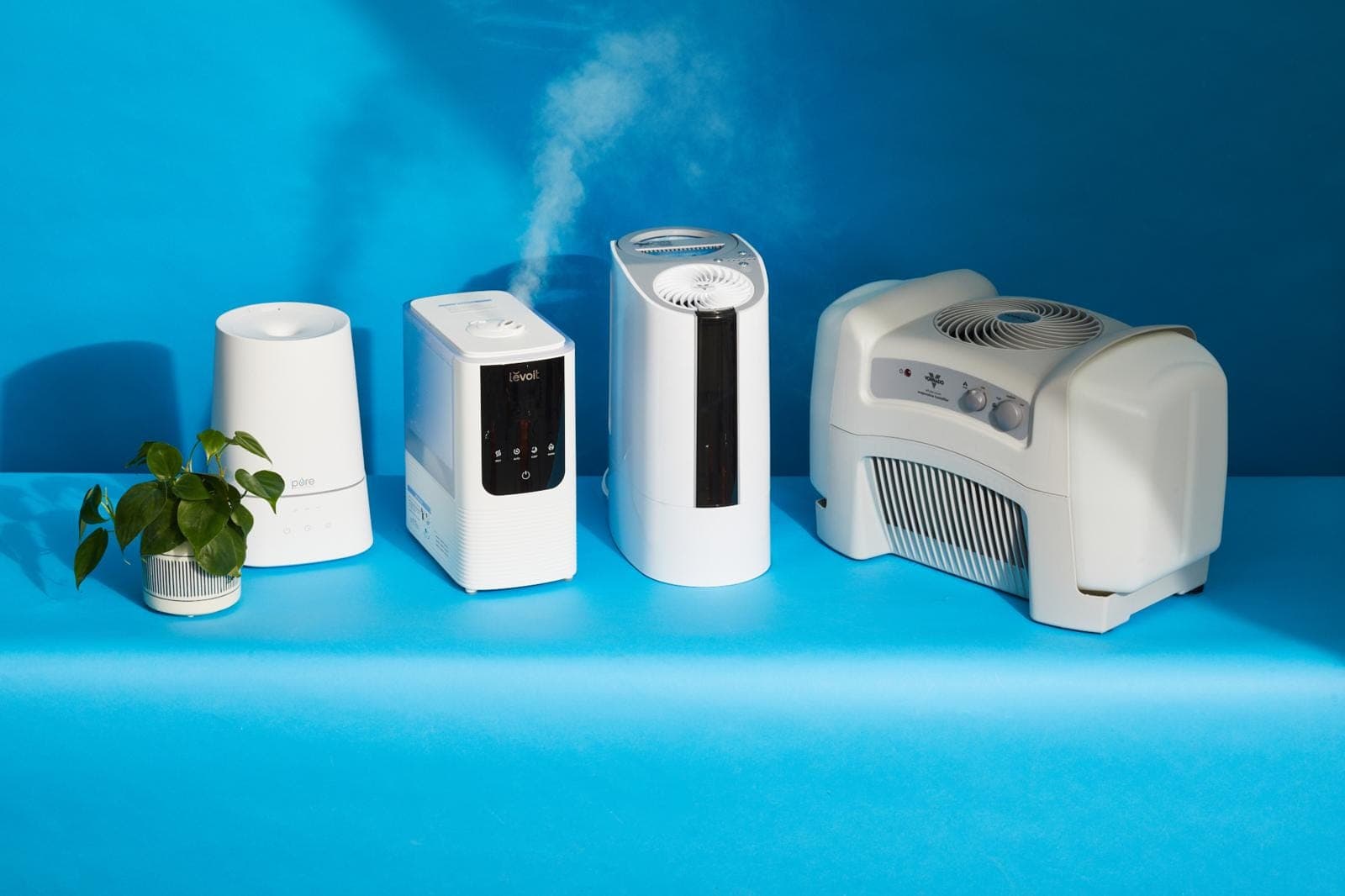 The Best Humidifiers to Soothe Allergies and Dry Skin