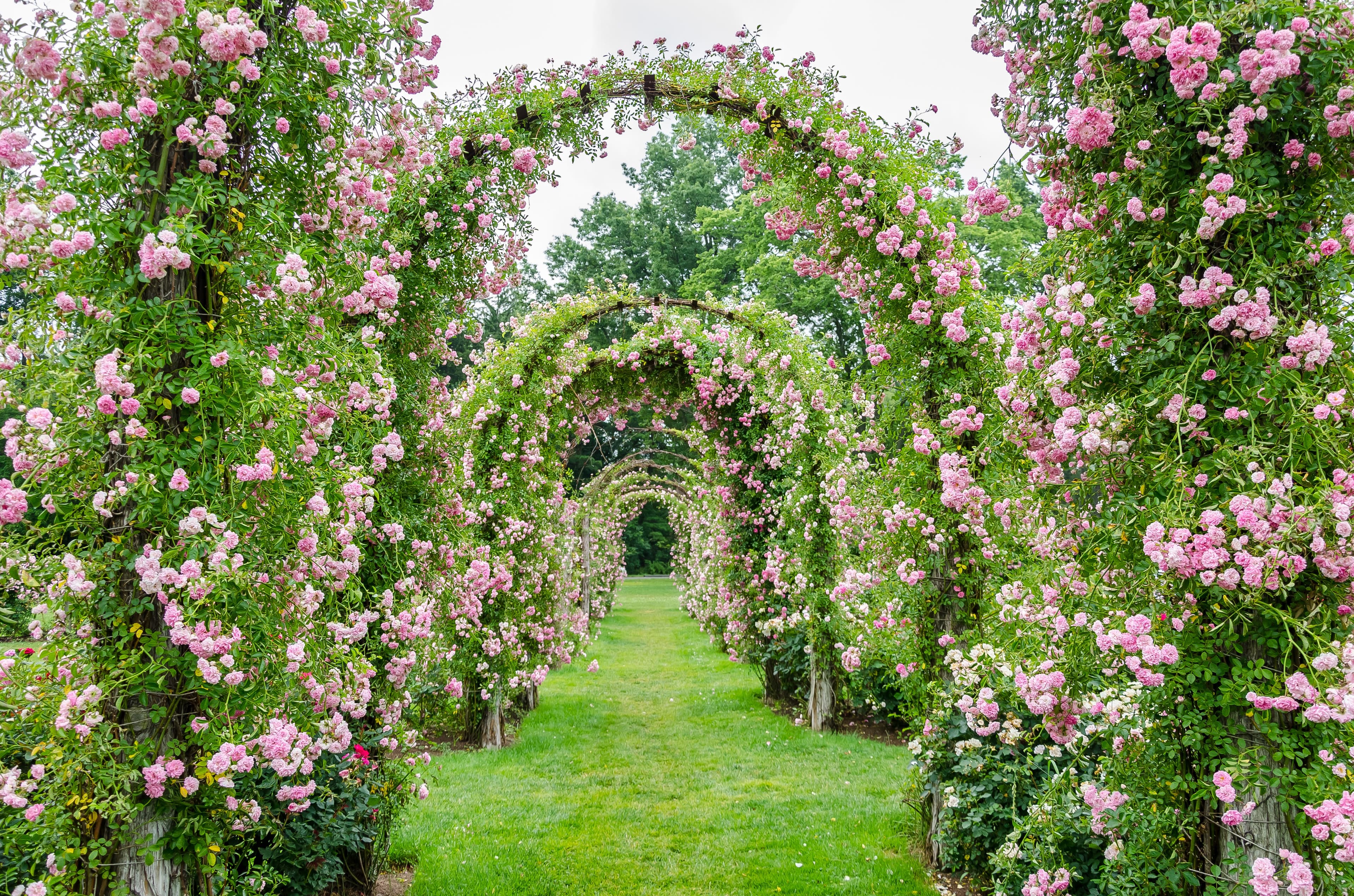 Garden Arbors Are Trending—Shop the Best Prime Day Deals