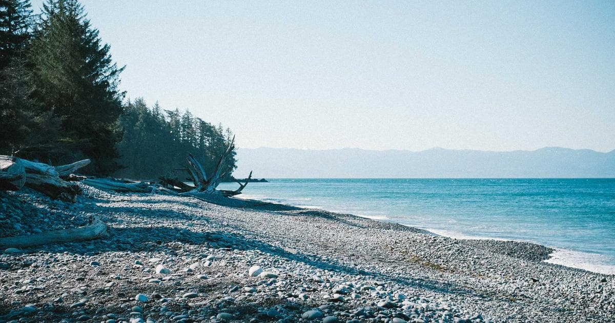 Abercrombie & Fitch Brings Hollister to Target: A Bold Wholesale Expansion Strategy