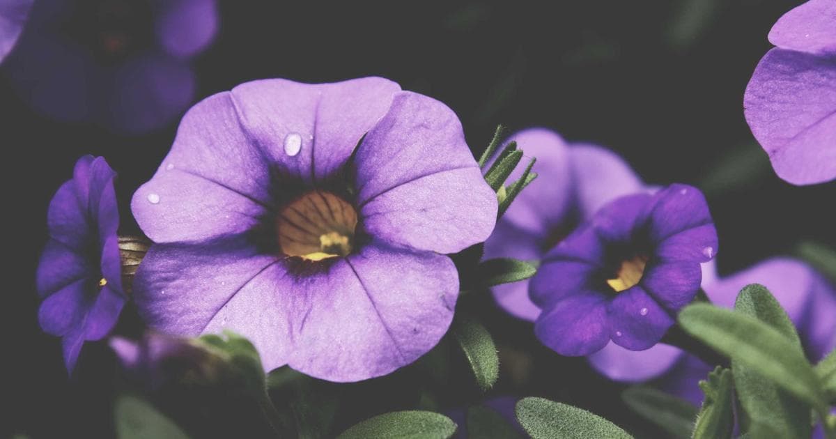 I've Tried More Than 200 Meal Kits — This Is My New Favorite Service in 2026