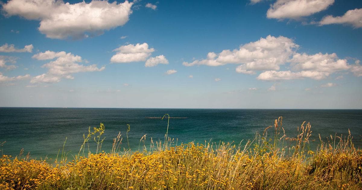 The 10 Best and 10 Worst States to Buy a Home in 2026