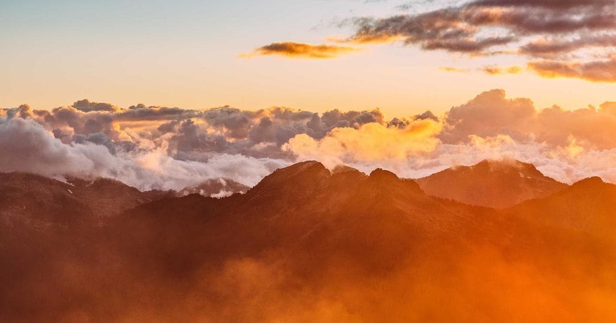 How Carrier Enterprise Reached 60% of Revenue Through Digital Channels