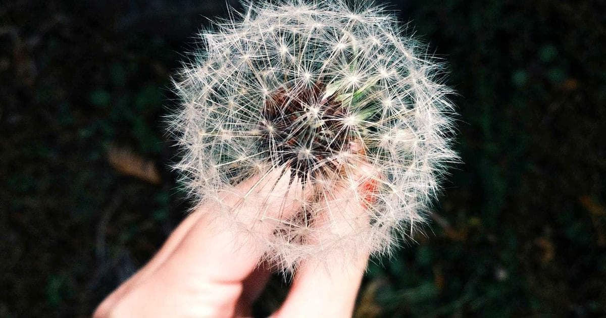 Illinois Puts Crypto Transfers in the Tax Crosshairs