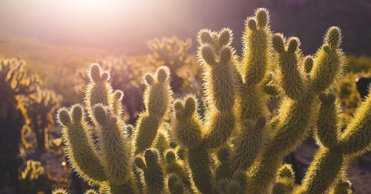 We Raised Our Daughter in China and Cambodia — Now She Never Wants to Leave Los Angeles