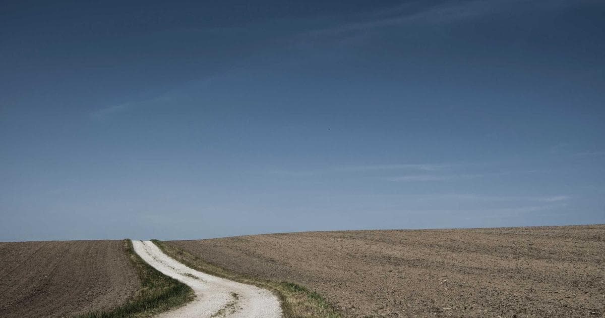 Tractor Supply Taps AI to Help Scale Last-Mile Delivery Network